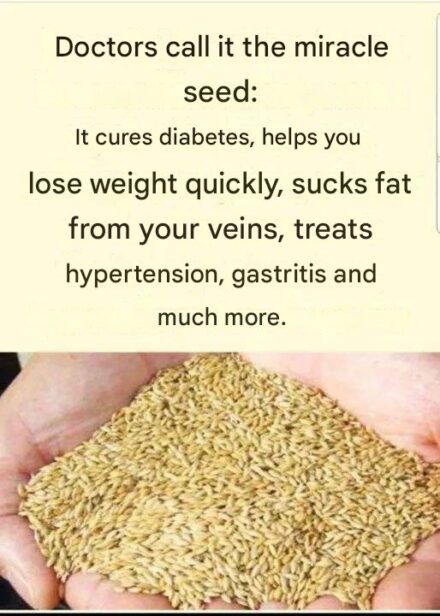 Canary seed water