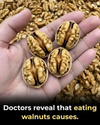 The Health Benefits of Walnuts: A Superfood for Heart, Brain, and Overall Well-being