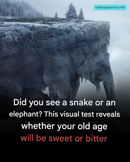 What did you see at first glance? 97% of people saw a snake! Find out if your old age will be bitter or sweet!
