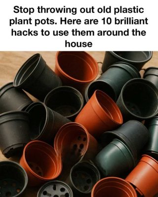 Stop throwing out old plastic plant pots. Here are 10 brilliant hacks to use them around the house