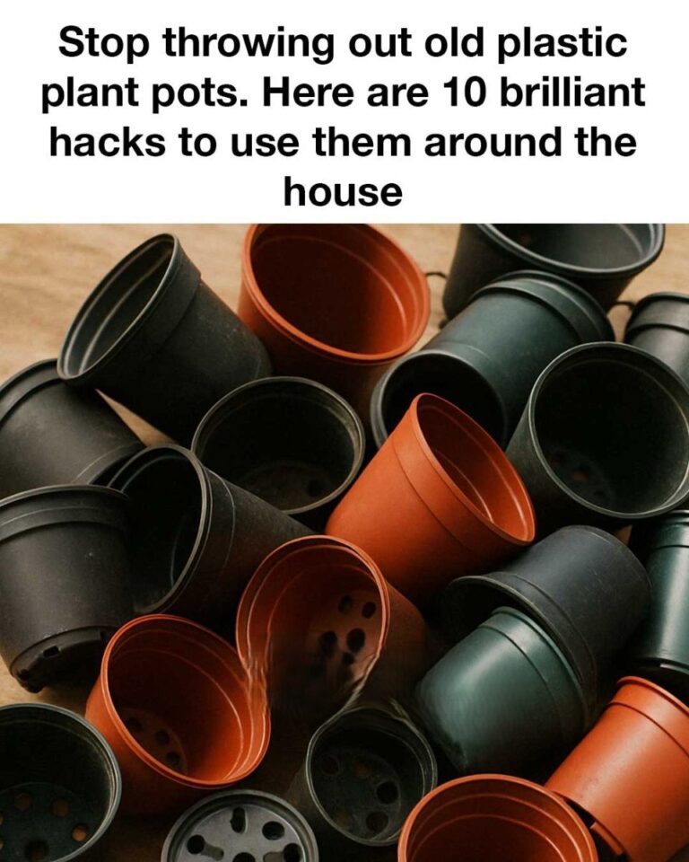 Stop throwing out old plastic plant pots. Here are 10 brilliant hacks to use them around the house