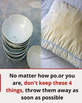 14 Things You Should Always Throw Away (And 10 You Shouldn’t)