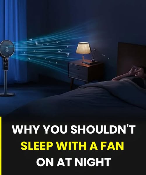 The Invisible Draft: 5 Signs Your Body Rejects Sleeping with a Fan