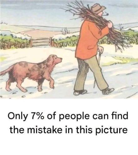 Can You Spot the Mistake in This Snowy Scene Find Out The Answer In The Comments