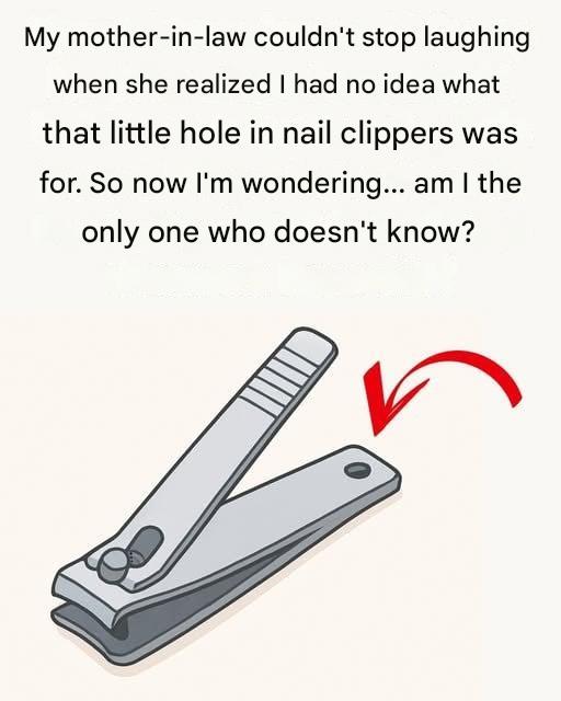 Why does your nail clipper have holes? The surprising answer