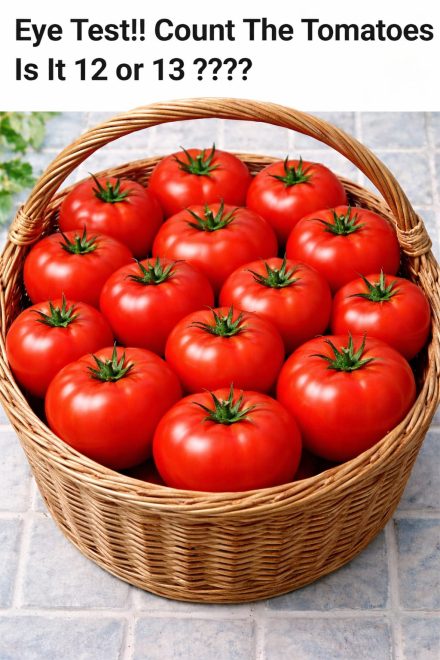 Eye Test!! Count The Tomatoes Is It 12 or 13 ???