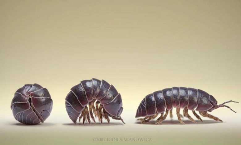 What Did You Call These, When You Were Growing Up?